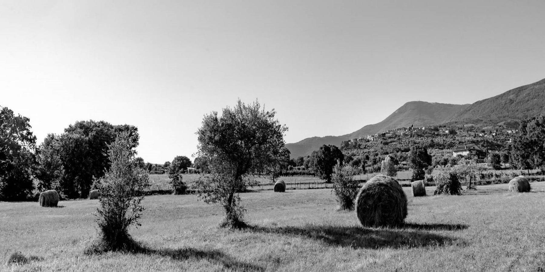 B&B Vico Suites Vico nel Lazio Bagian luar foto