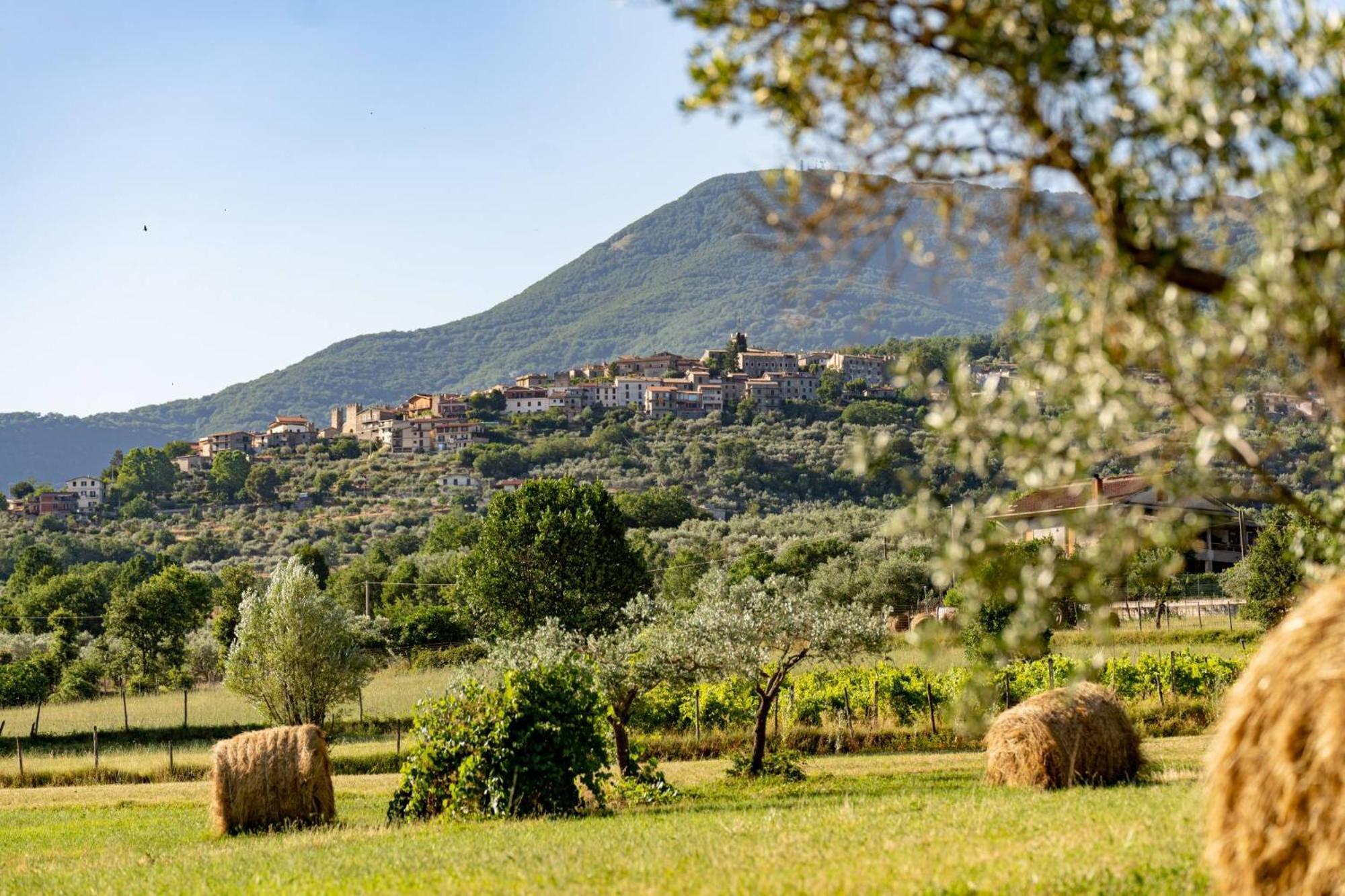 B&B Vico Suites Vico nel Lazio Bagian luar foto